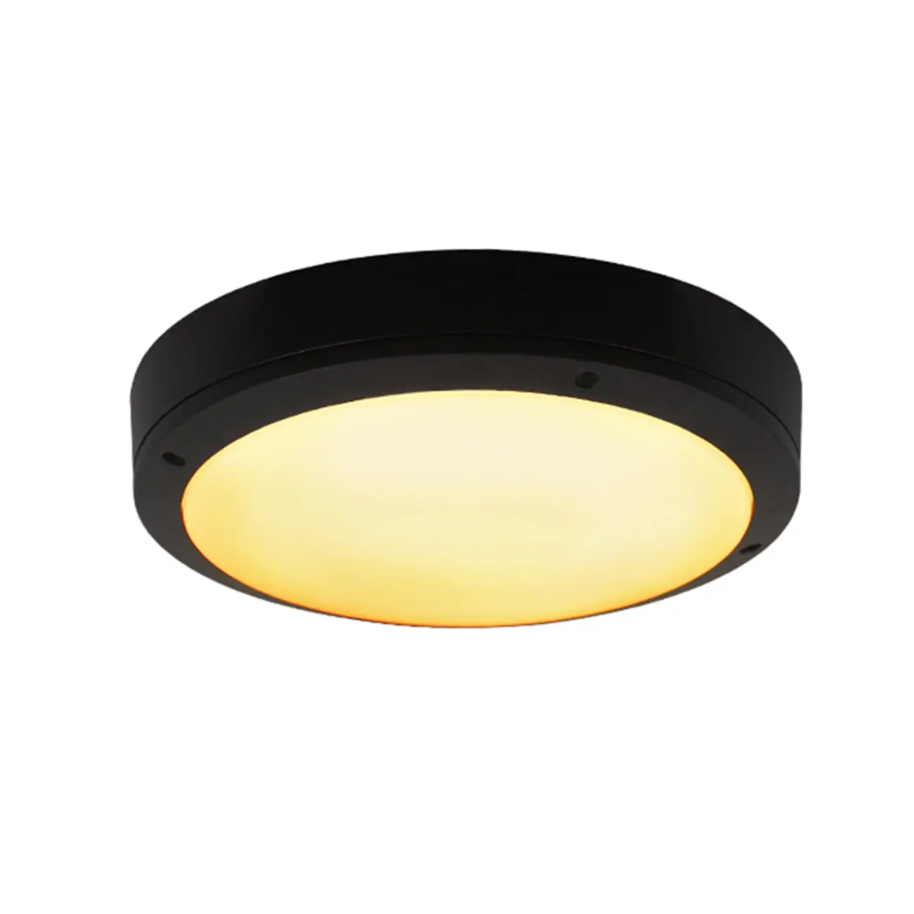 Outdoor Industrial Dimmable LED Flush Mount Ceiling Light | homeyfad