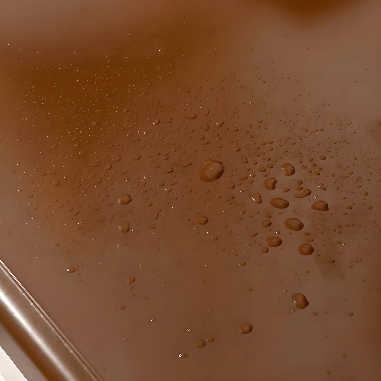 Elegant Classic Lacquered White Brown Wooden Storage Chest Image - 14 | homeyfad