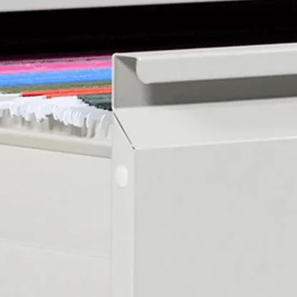 Glam Steel Filing Cabinet with Drawers in 3 Colors for Office Image - 12