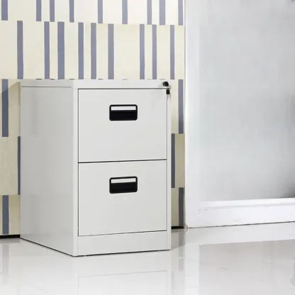 Glam Steel Filing Cabinet with Drawers in 3 Colors for Office Image - 22