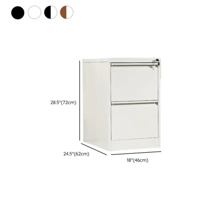 Glam Steel Filing Cabinet with Drawers in 3 Colors for Office Image - 27