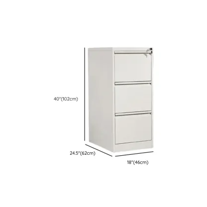 Glam Steel Filing Cabinet with Drawers in 3 Colors for Office Image - 29