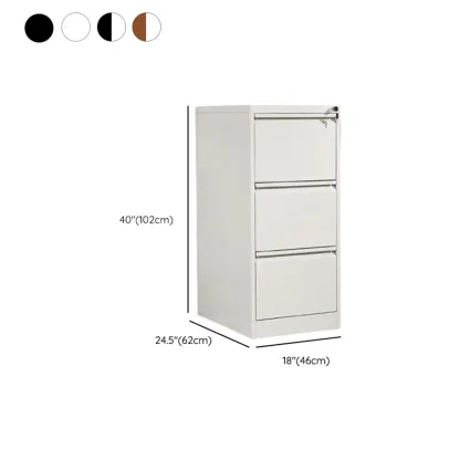 Glam Steel Filing Cabinet with Drawers in 3 Colors for Office Image - 30