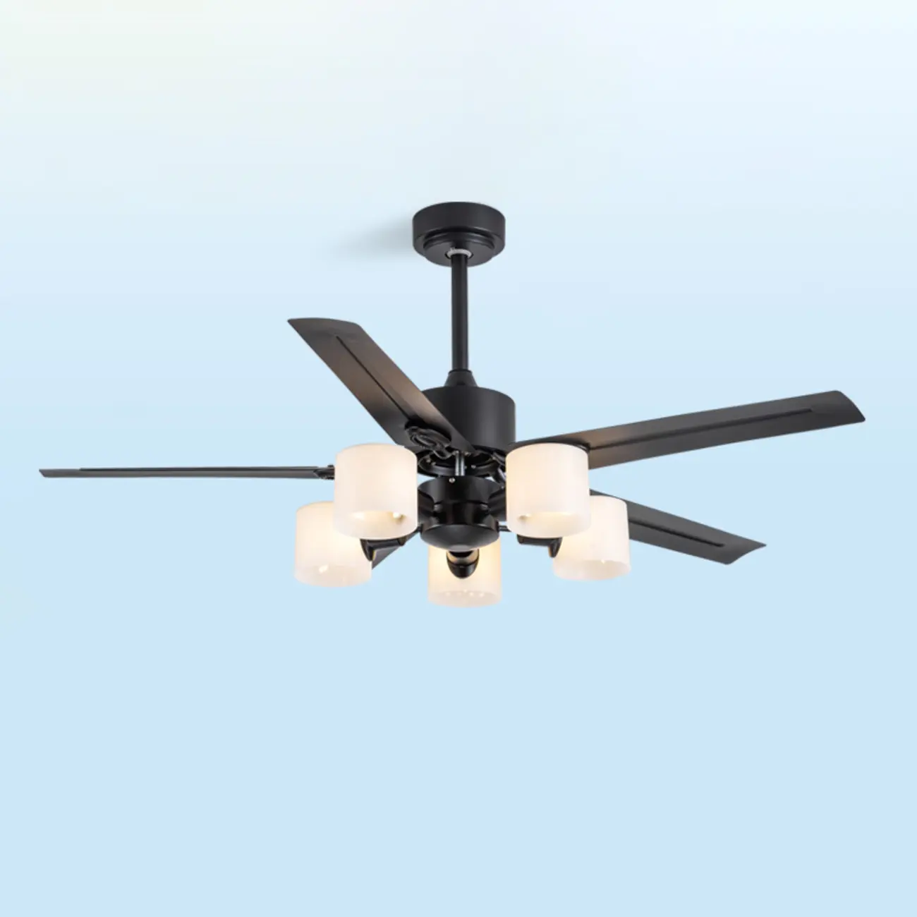 52" Matte Black 5-Blade Downrod Ceiling Fan with Lights | homeyfad