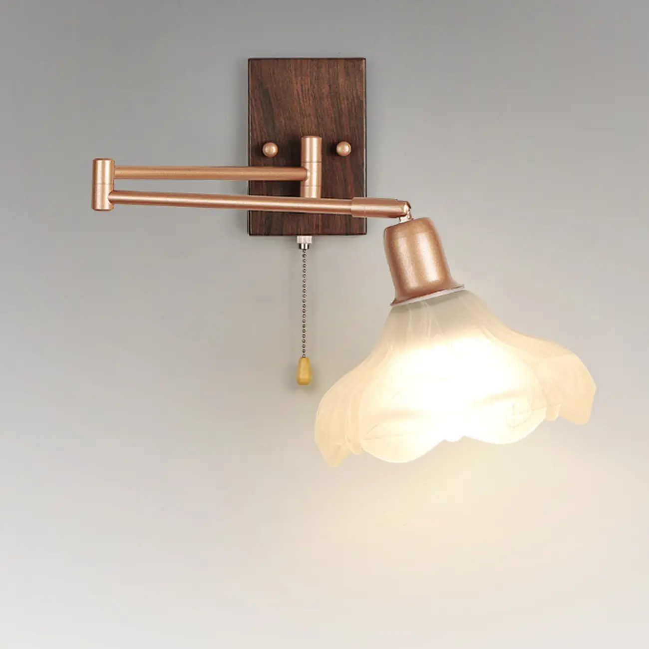 Adjustable Metal Swing Arm Wall Sconce with Pull Chain Image - 2 | homeyfad