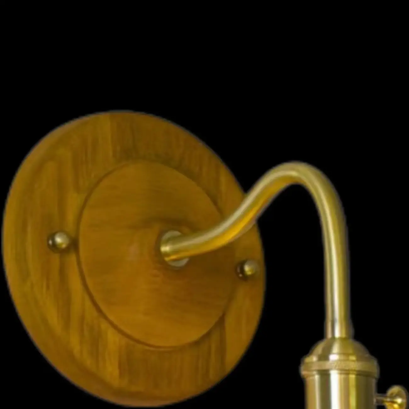 Vintage Wall Sconce with Floral Glass Shade for Indoor Space | homeyfad