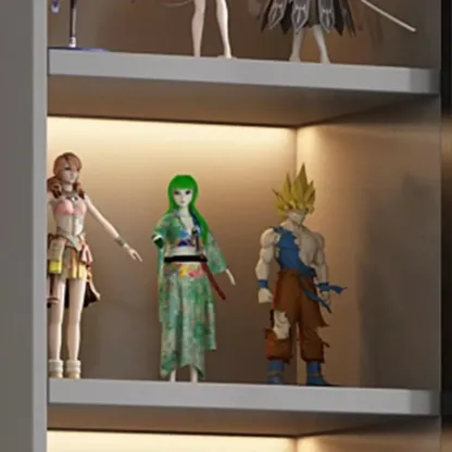 Simple Modern Gray Clear Cover Wooden Display Cabinet Image - 9