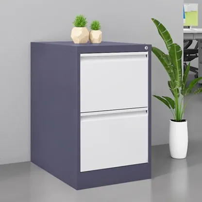 Classic Steel Lockable Vertical File Cabinets for Office Image - 21