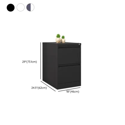 Classic Steel Lockable Vertical File Cabinets for Office Image - 23