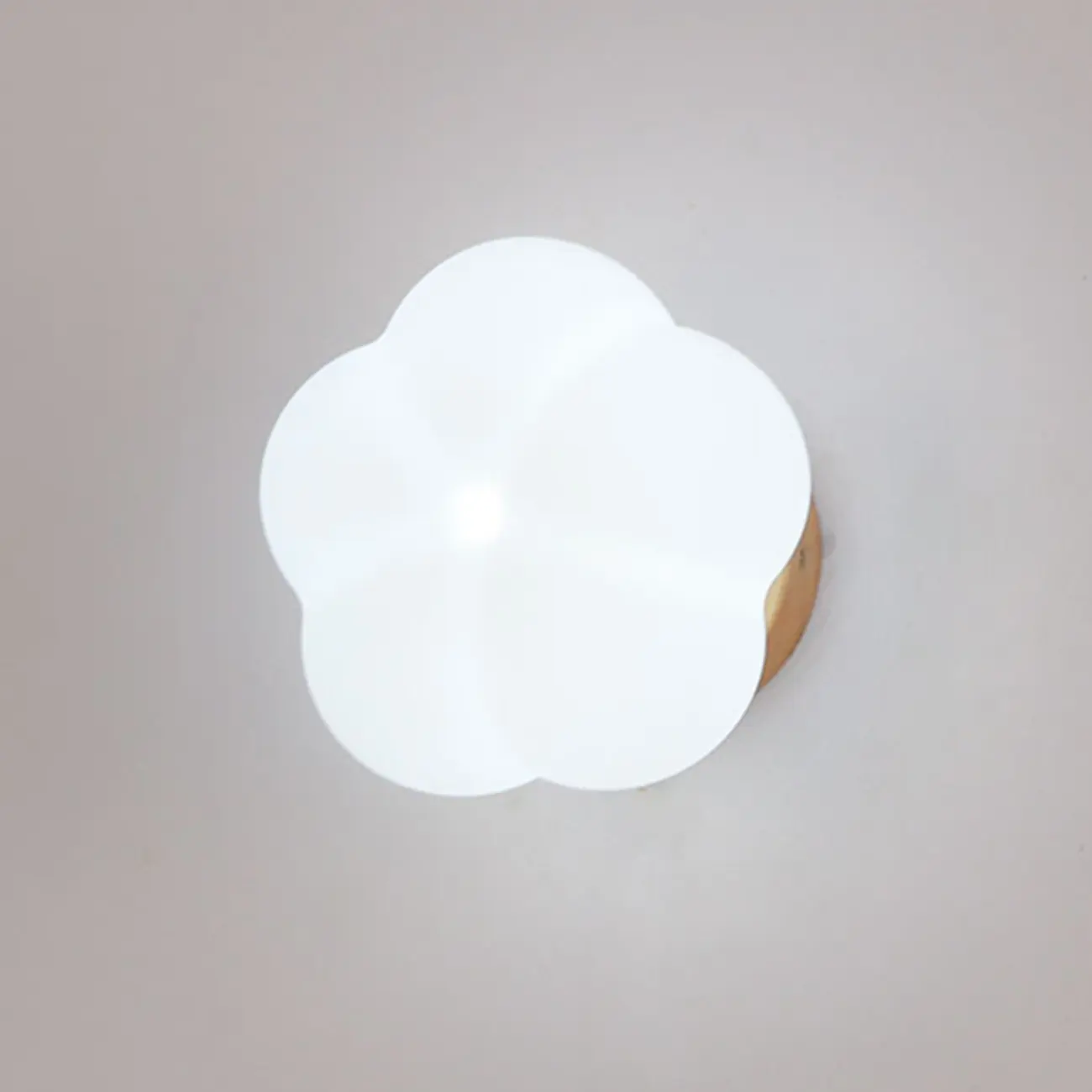 Modern White Acrylic Flower Shape Wall Light Image - 3 | homeyfad