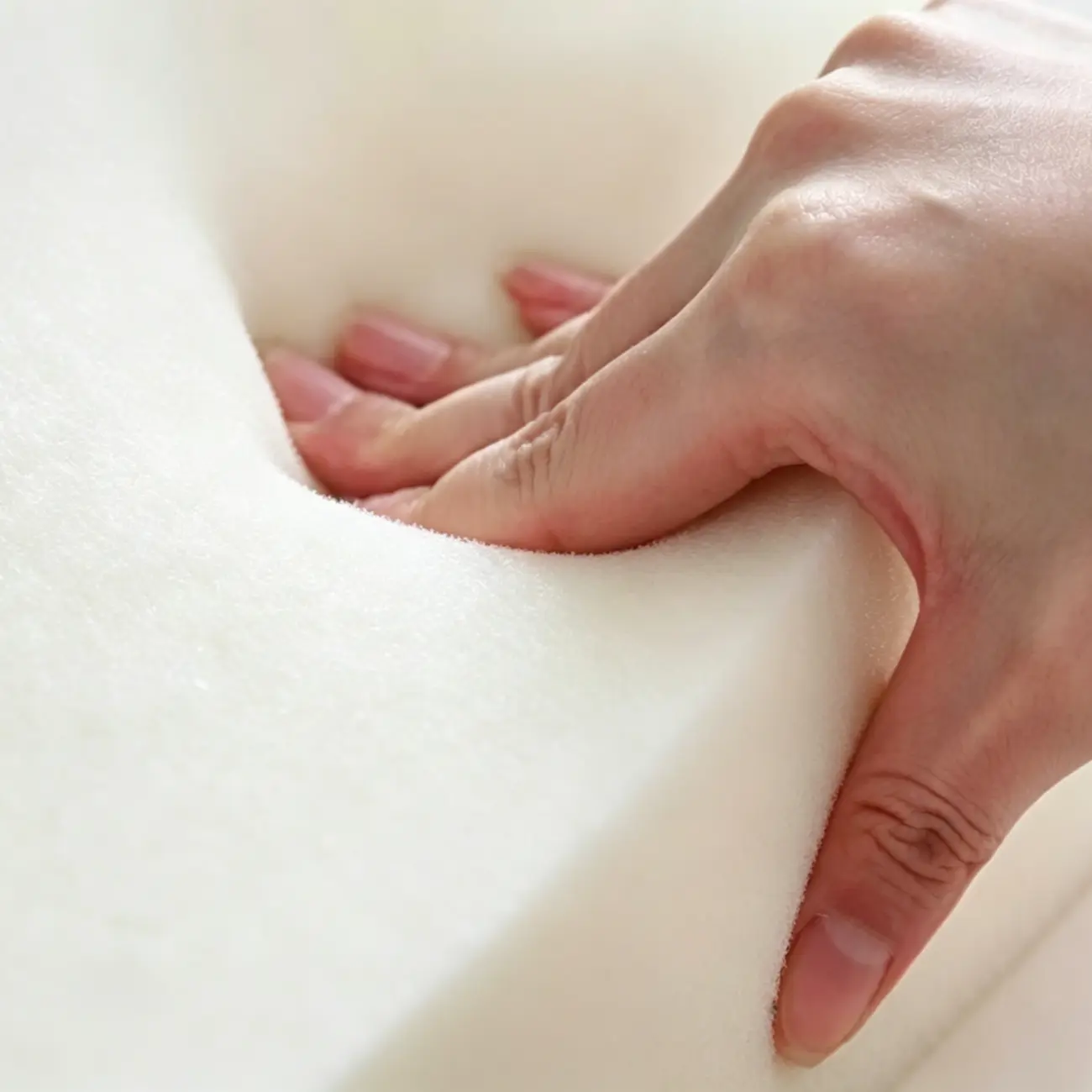 Modern Organic Shape Upholstered Bench with Backrest Image - 6 | homeyfad