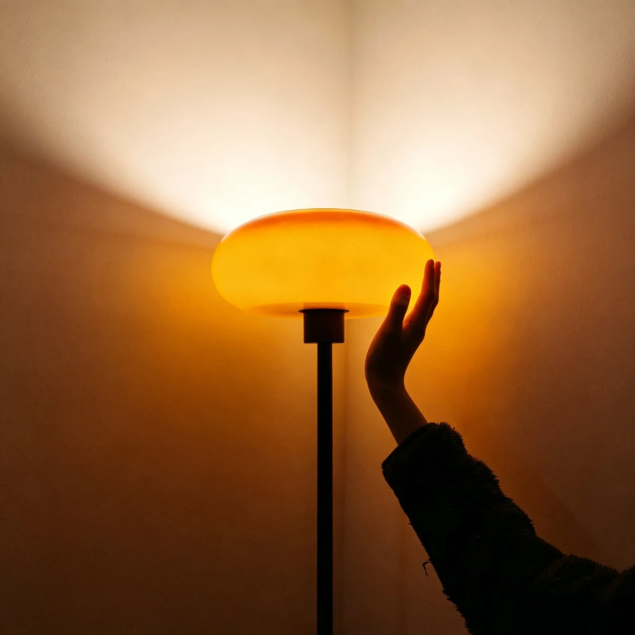 Modern Dimmable LED Floor Lamp with Glass Shade Image - 7 | homeyfad