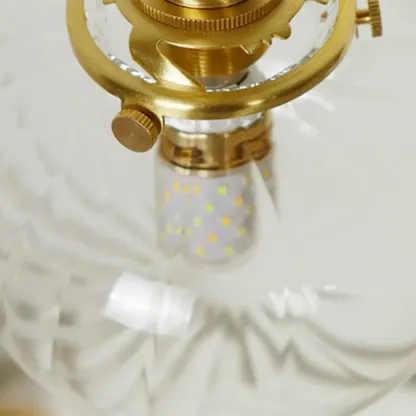 Transparent Globe Brass LED Wall Sconce for Hallway Lighting