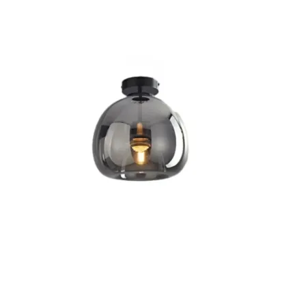 Smoky Glass Dome Metal Modern Semi Flush Ceiling Light
