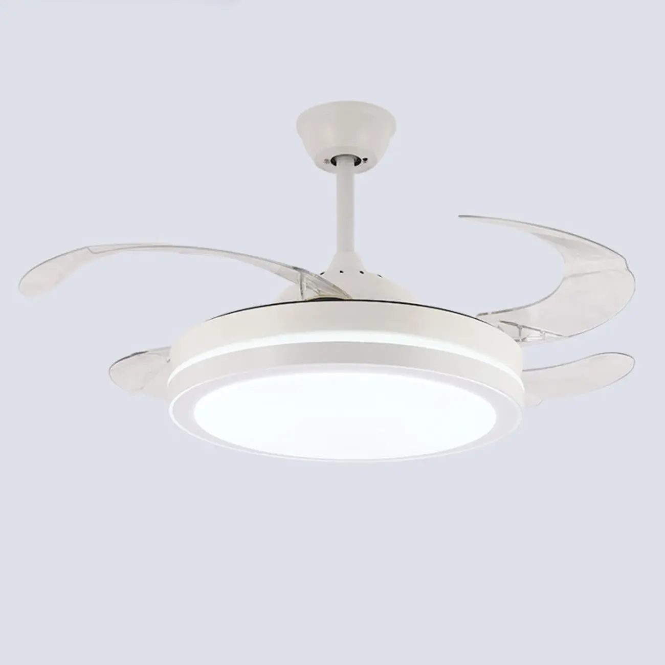 Modern LED Ceiling Fan with Clear Plastic Blades Image - 6 | homeyfad