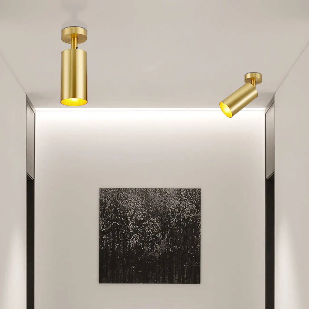 Modern Brass Adjustable Track Lighting | homeyfad