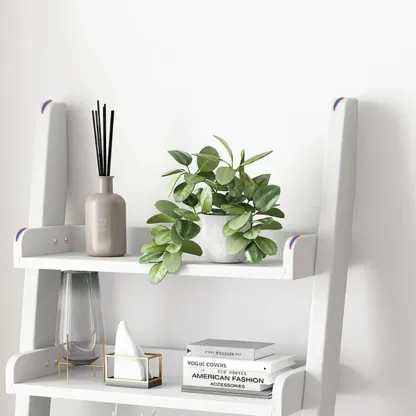 Narrow Modern Solid Wood 5-Tier Open Ladder Bookcase Image - 7