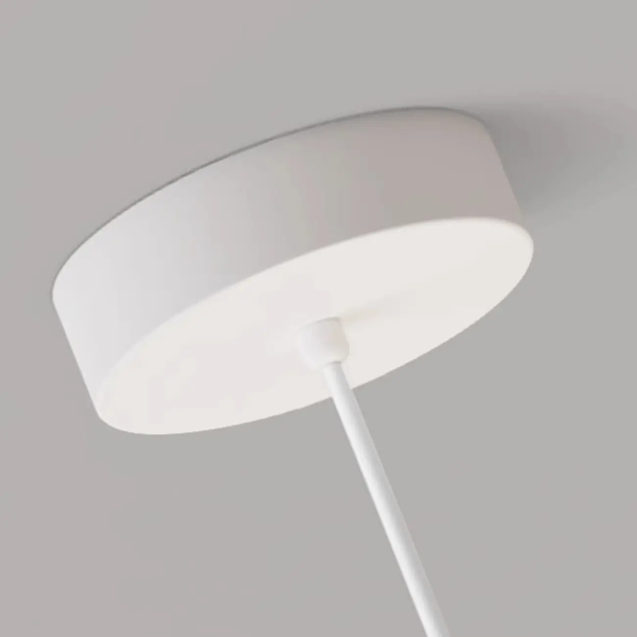 Cartoon Animal White Metal Acrylic Globe Pendant Light Image - 11 | homeyfad