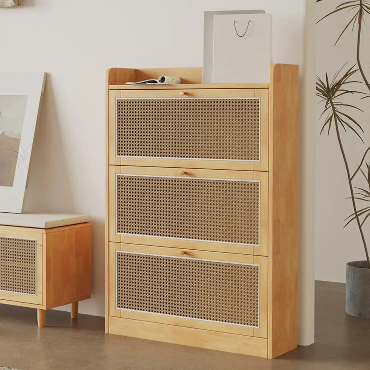 Bohemian Solid Wood Shoe Storage with Rattan Doors Image - 4