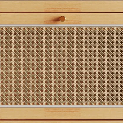 Bohemian Solid Wood Shoe Storage with Rattan Doors Image - 6