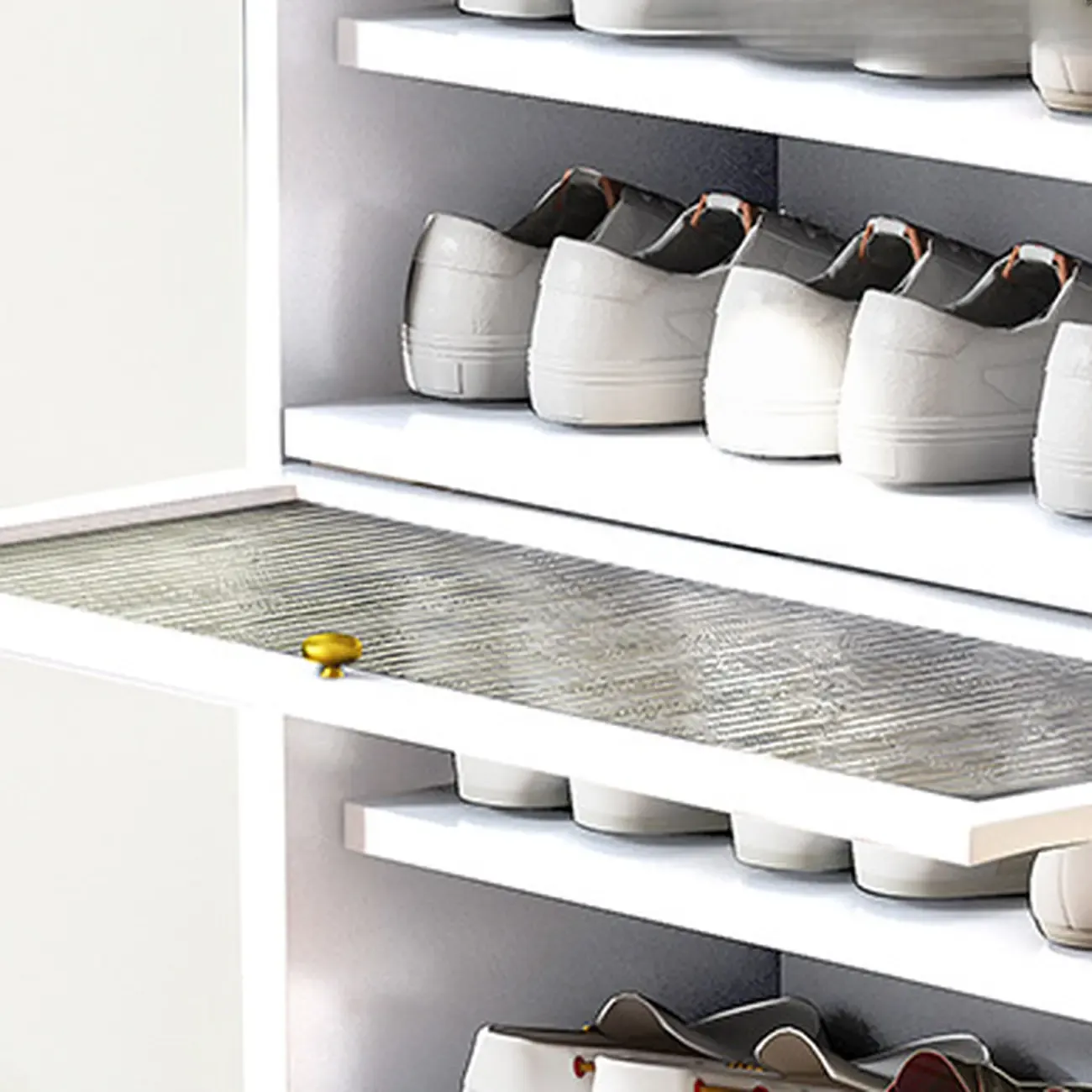 Vertical White Metal Entryway Shoe Storage with Glass Doors Image - 4