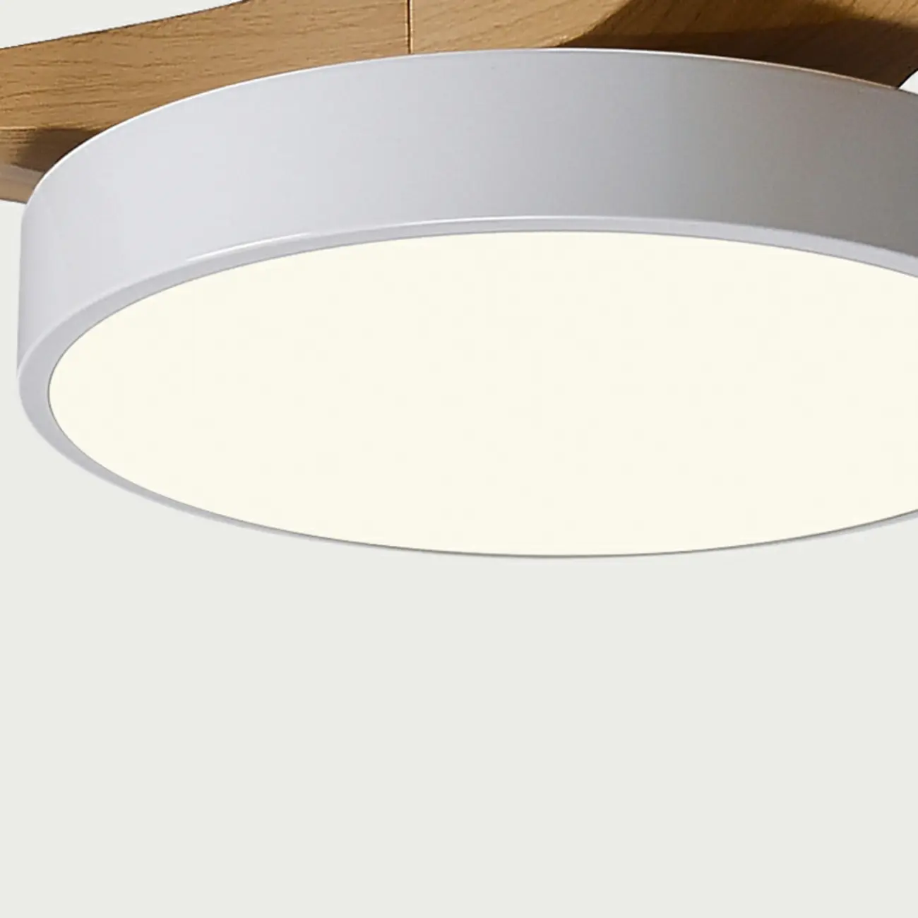 Modern Flush Mount Ceiling Fan Dimmable Light for Living Room | homeyfad