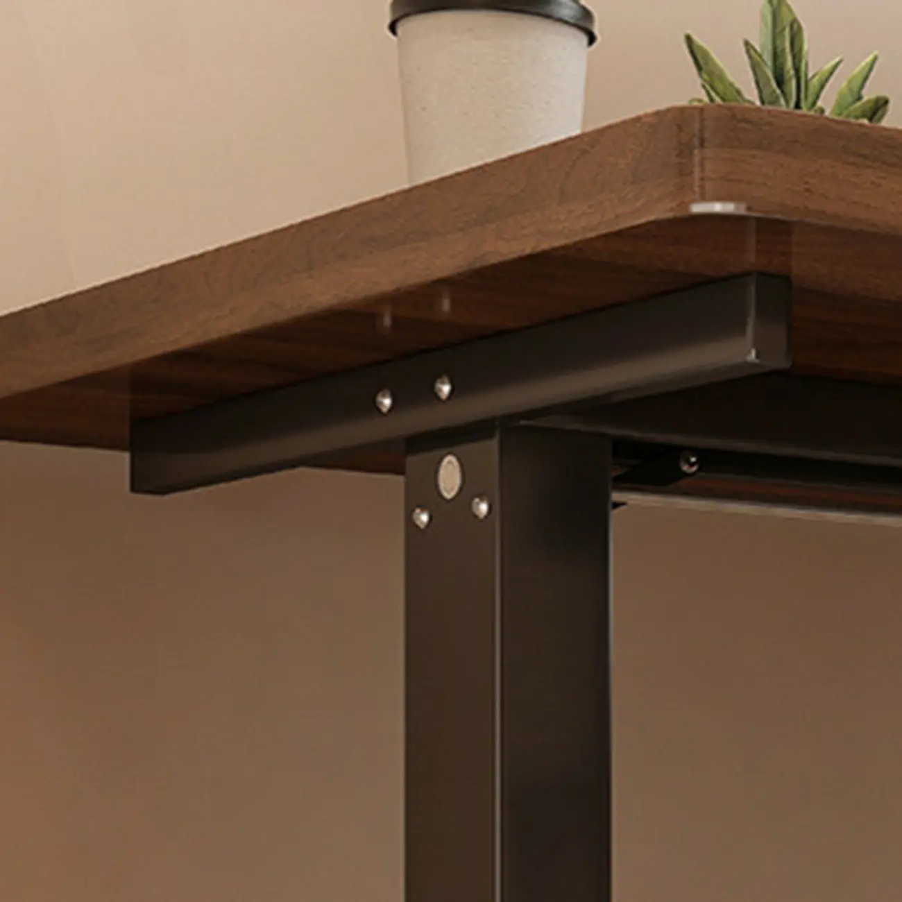 Modern Adjustable Wood Electric Standing Office Desk Image - 6 | homeyfad