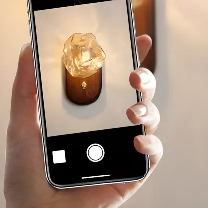 Simple Unique Glass Shade Walnut Oval Wall Sconce Image - 10