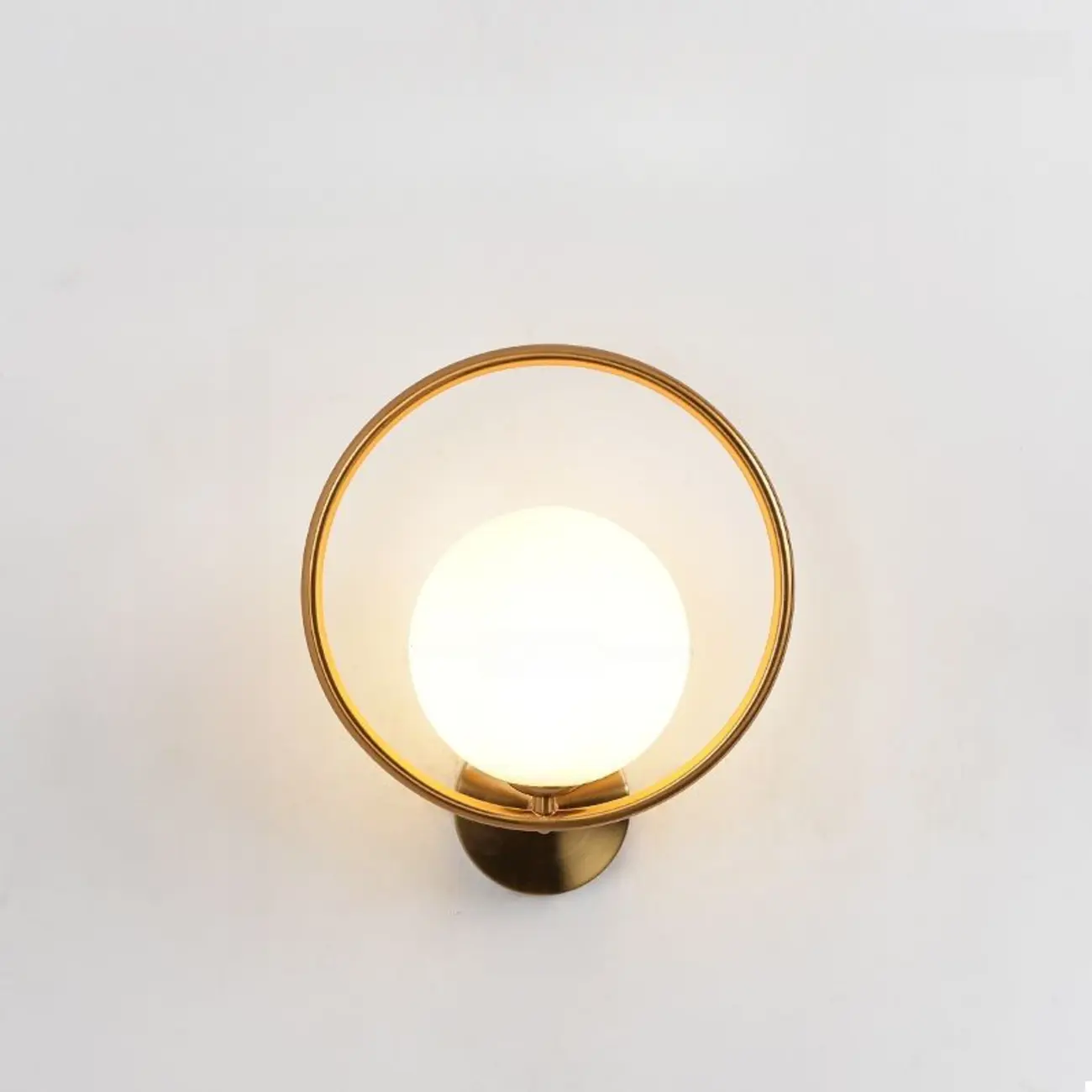 Modern Minimalist Globe Wall Sconce with Circular Ring | homeyfad