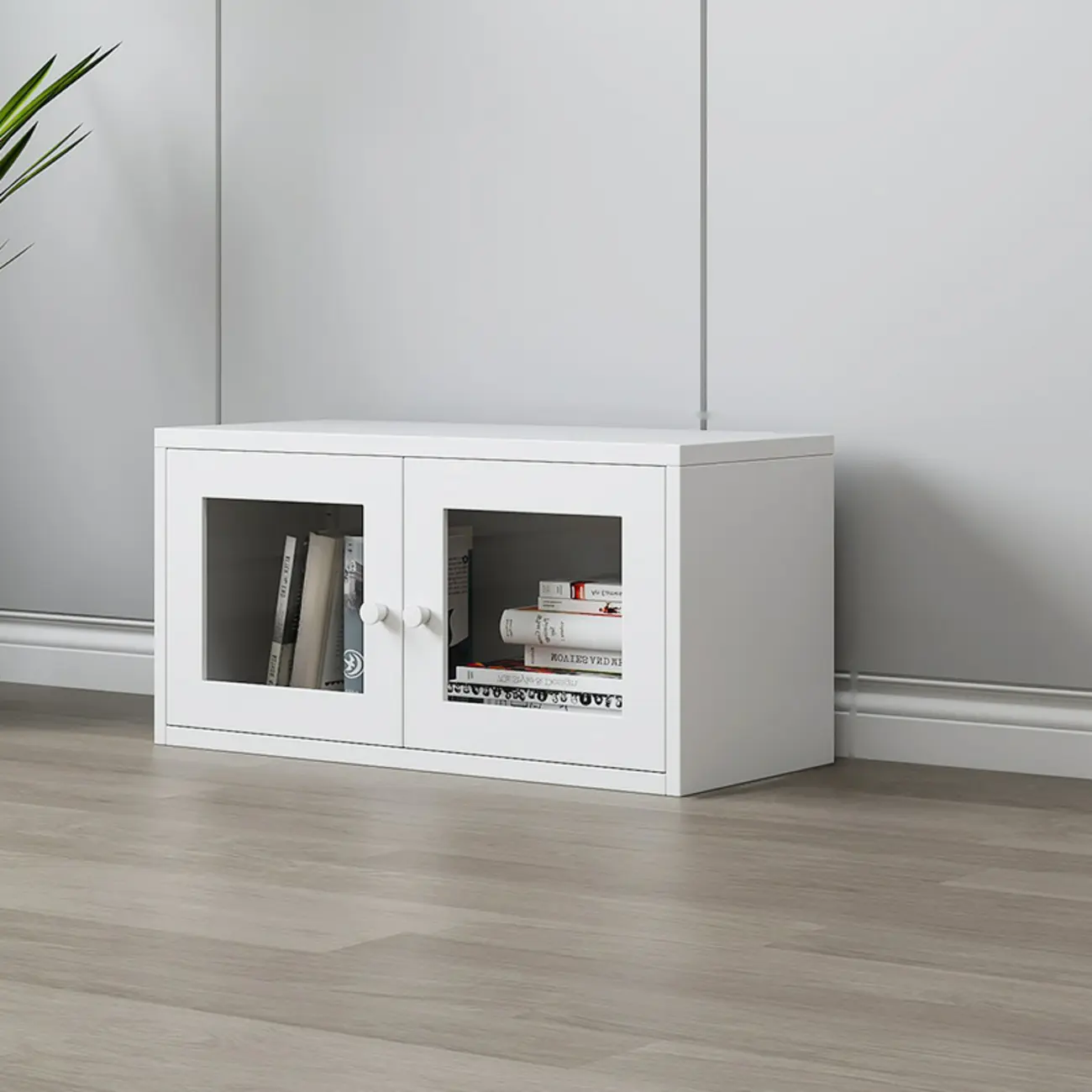 Modern Steel Glass Adjustable Shelves Display Storage Cabinet Image - 17 | homeyfad