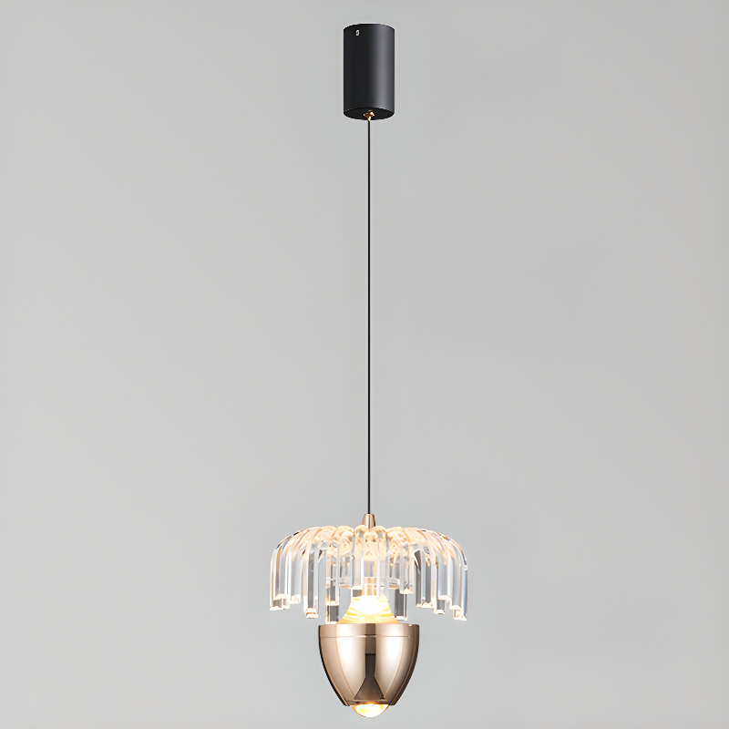 2-Light Black Metal Acrylic Dimming LED Pendant Light | homeyfad