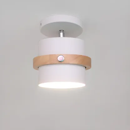 Green Cylinder Iron Modern Semi Flush Mount Ceiling Light