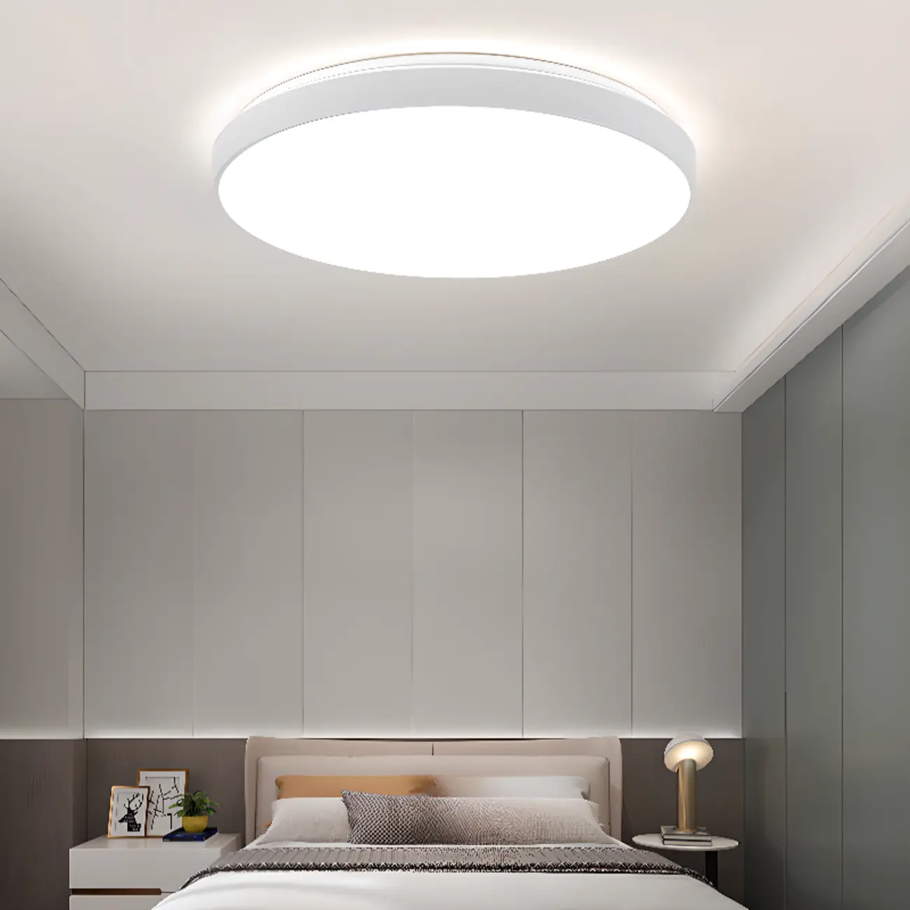 Stylish Circular Acrylic Flush Ceiling Light in Multi Dimming Image - 5 | homeyfad