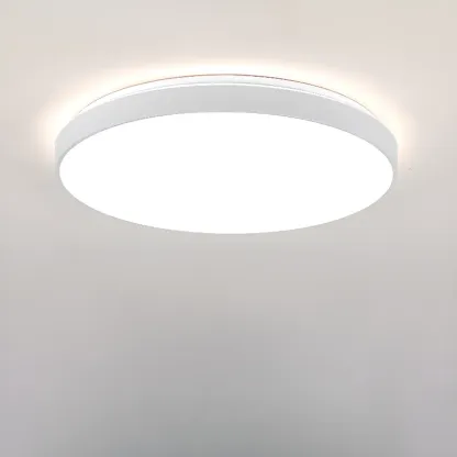 Stylish Circular Acrylic Flush Ceiling Light in Multi Dimming Image - 7