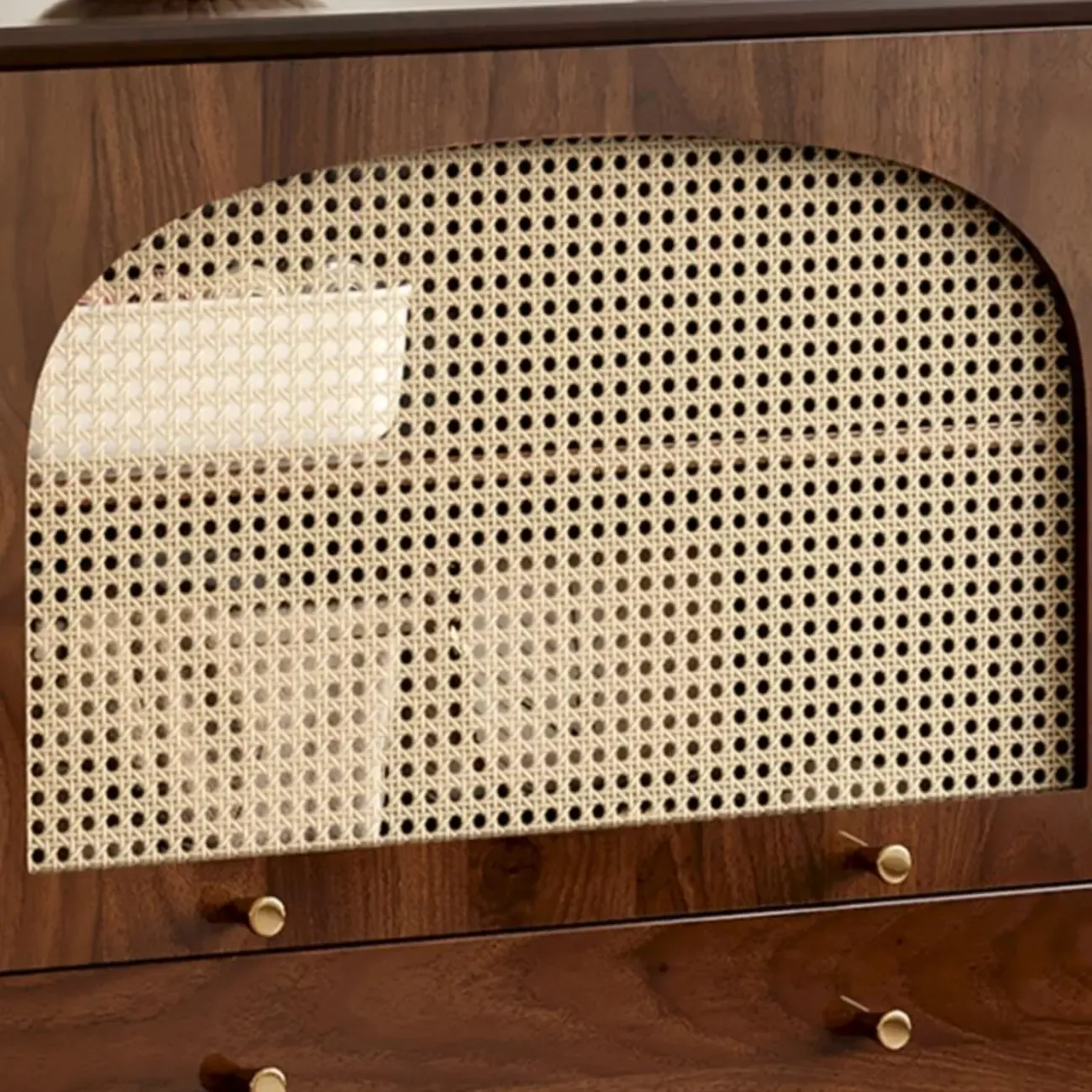 Vintage Brown Wood Rattan Storage Cabinet for Living Room Image - 12