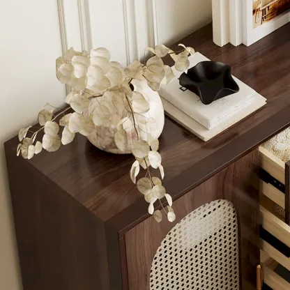 Vintage Brown Wood Rattan Storage Cabinet for Living Room Image - 14