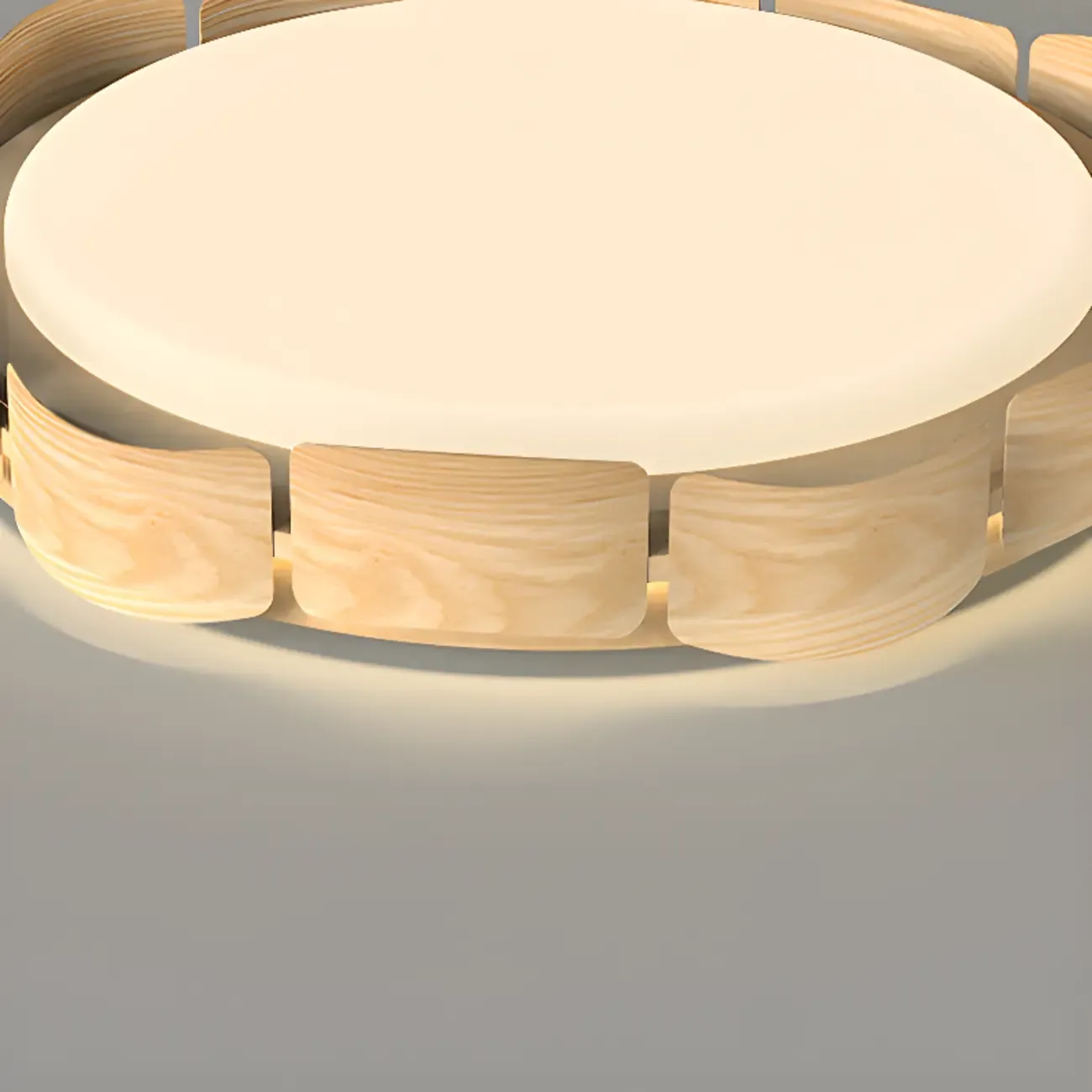 Circle Dimmable 2-Light Flush Mount Ceiling Light Fixture Image - 8