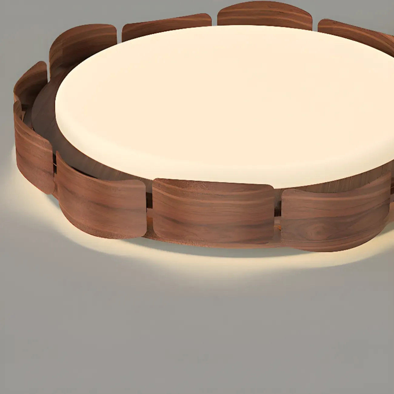 Circle Dimmable 2-Light Flush Mount Ceiling Light Fixture Image - 9