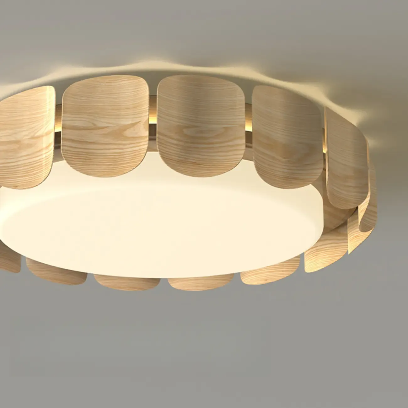 Circle Dimmable 2-Light Flush Mount Ceiling Light Fixture Image - 11