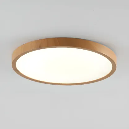 Simplistic Circular Acrylic Flush Ceiling Light in Dimmable Image - 2
