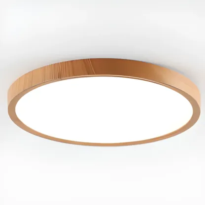 Simplistic Circular Acrylic Flush Ceiling Light in Dimmable Image - 10