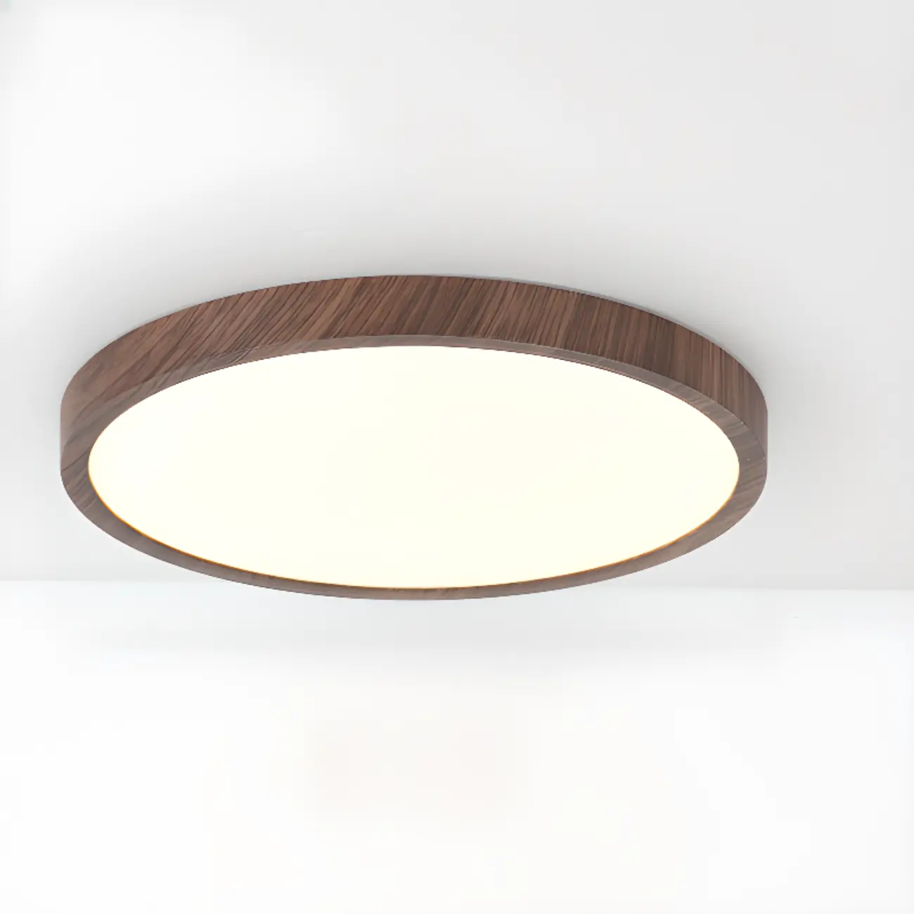 Simplistic Circular Acrylic Flush Ceiling Light in Dimmable Image - 11 | homeyfad