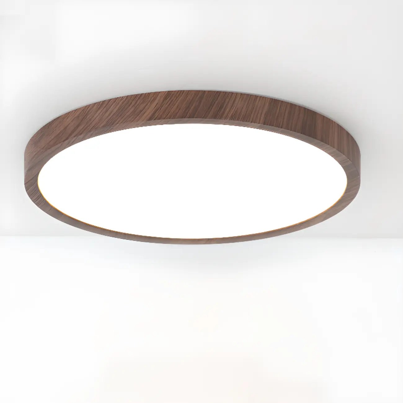 Simplistic Circular Acrylic Flush Ceiling Light in Dimmable Image - 13 | homeyfad