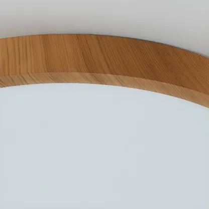 Simplistic Circular Acrylic Flush Ceiling Light in Dimmable Image - 15