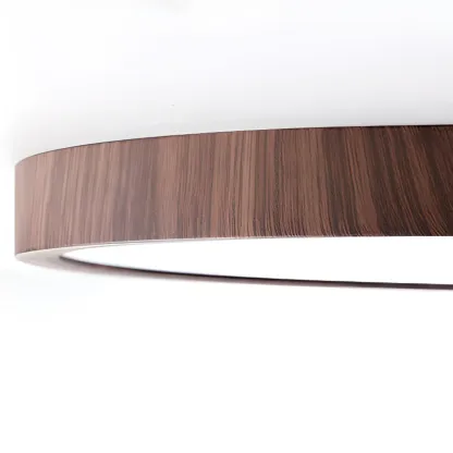 Simplistic Circular Acrylic Flush Ceiling Light in Dimmable Image - 16