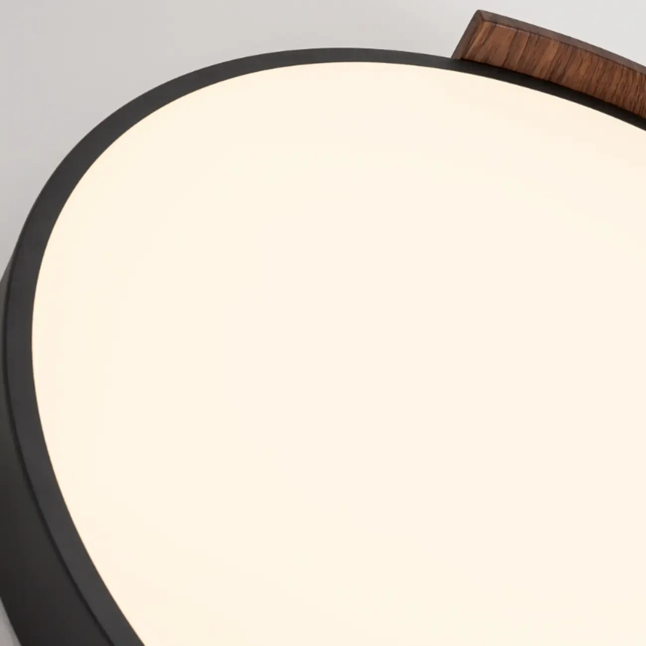 Dimmable Black LED Flush Mount Ceiling Light for Bedroom  Image - 14