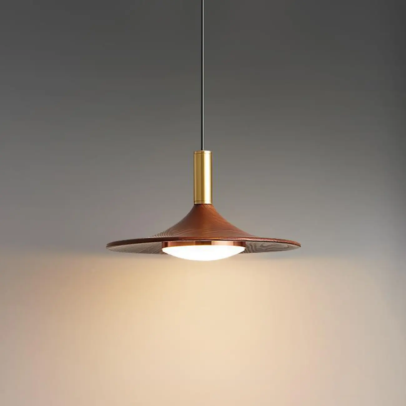 Walnut Round Acrylic Pendant Hanging Light for Living Room  Image - 1 | homeyfad