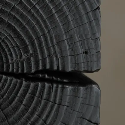 Modern Black Pine Wooden Square Stump End Table Image - 8