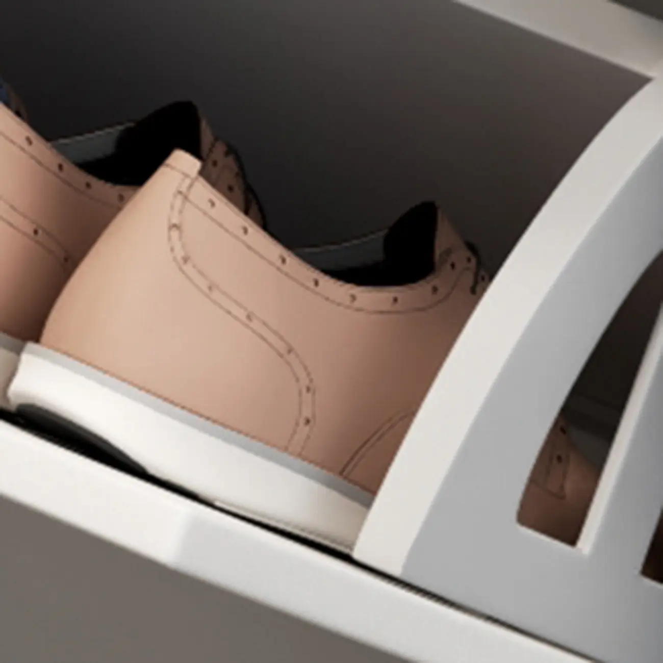 Modern Wood Shoe Cabinet with Adjustable Shelves, Entryway | homeyfad