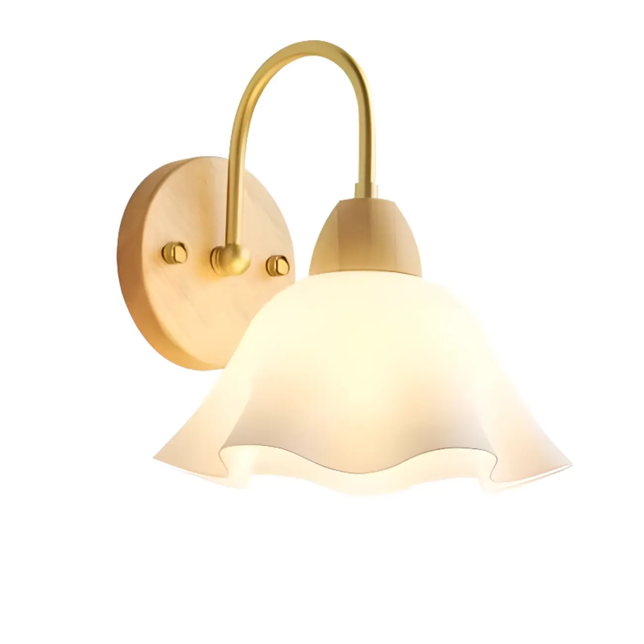 Pumpkin Acrylic Wall Sconce with Pull Switch for Bedroom | homeyfad